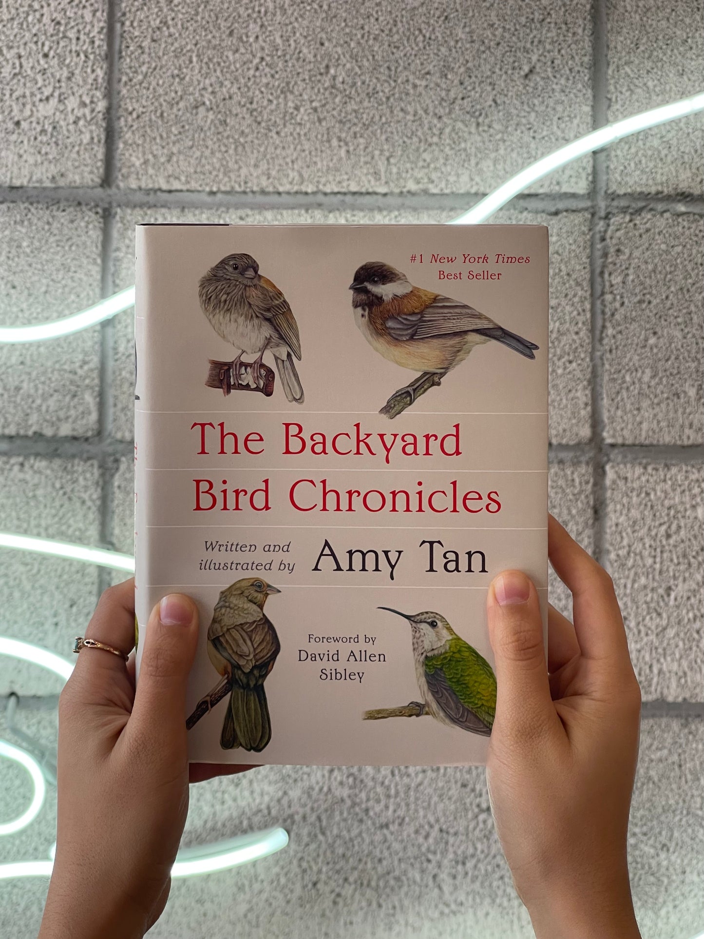 The Backyard Bird Chronicles