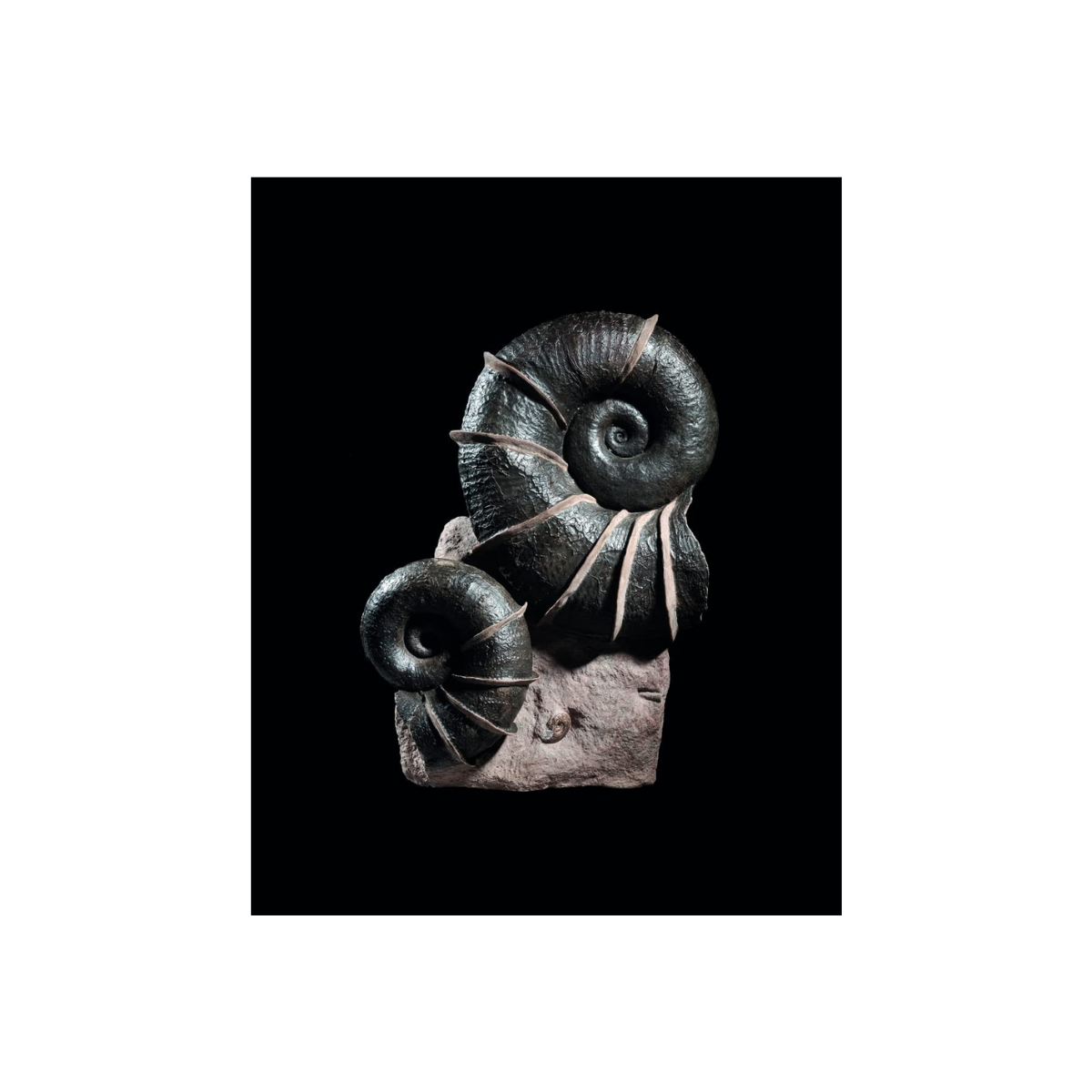 Dinosaurs are Collectible: Digging for Dinosaurs: the Art, the Science