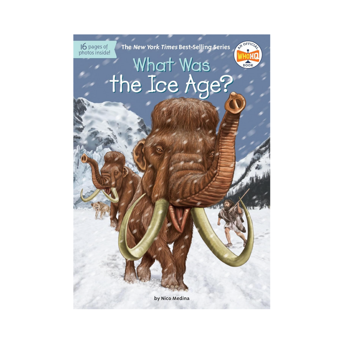 What Was the Ice Age?
