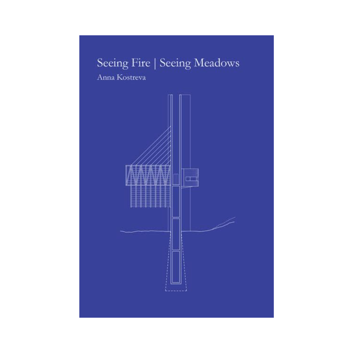 Seeing Fire Seeing Meadows