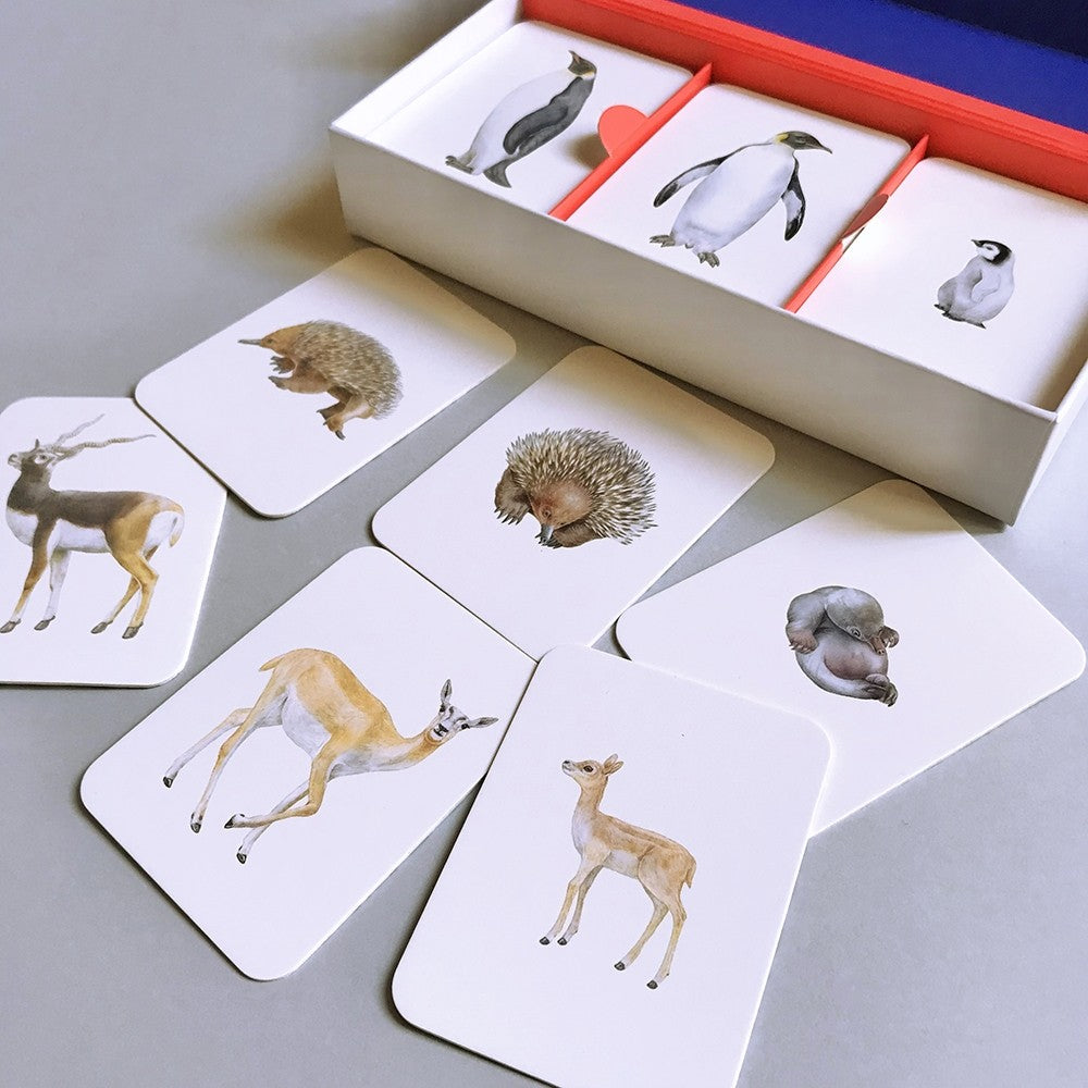 Familias Animales. Juego de Memoria de Tres