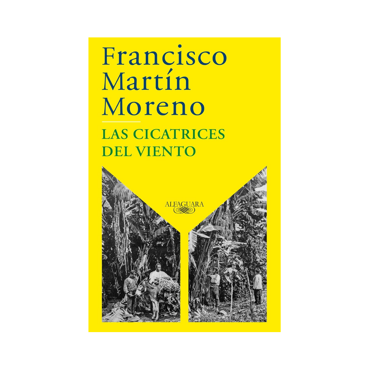 Las cicatrices del viento— Francisco Martín Moreno