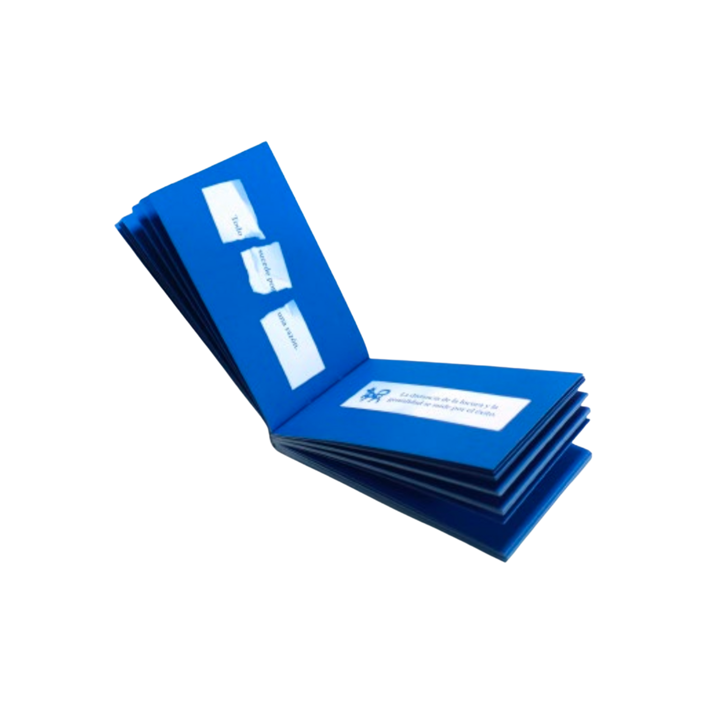Este será un gran año— Alfonso Santiago