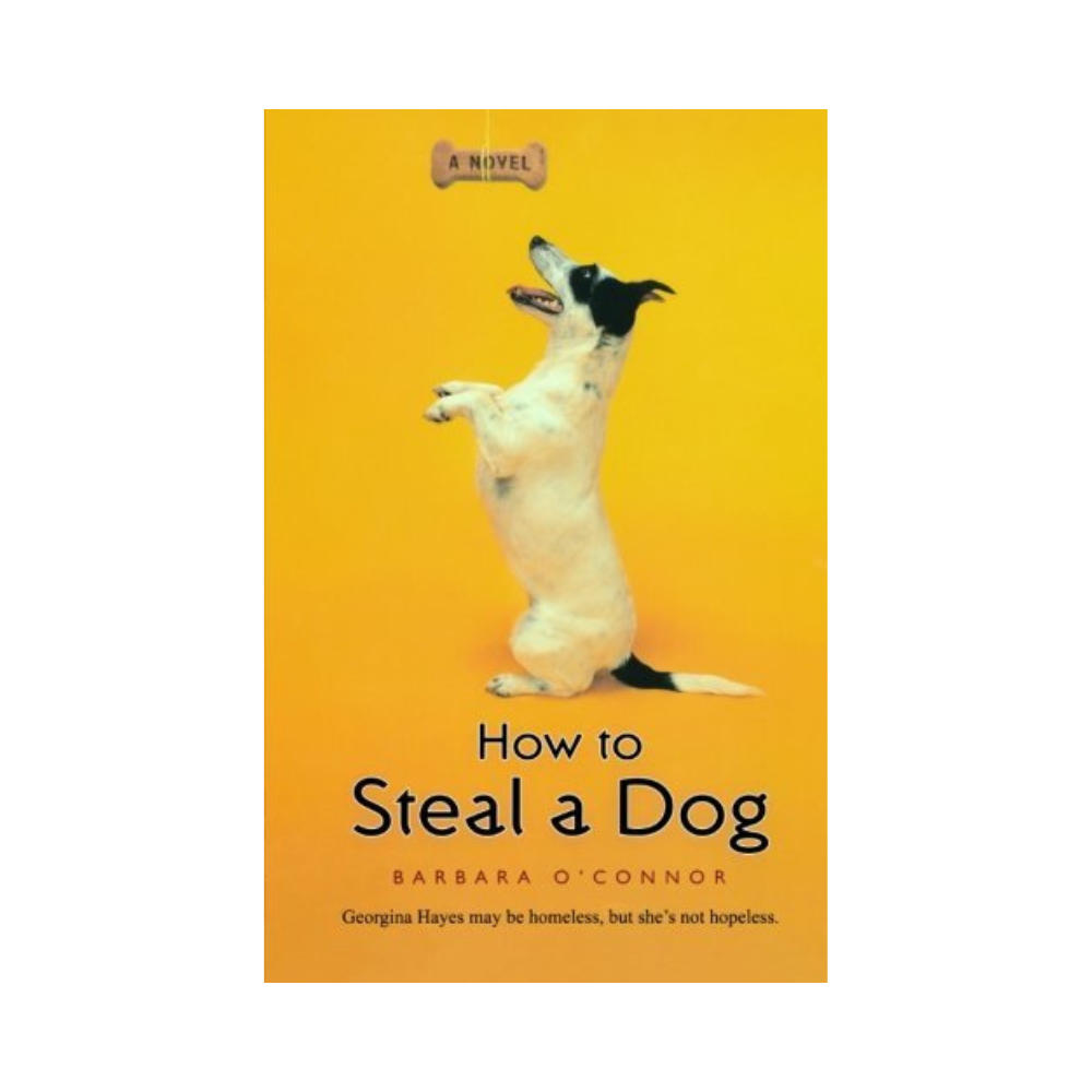 How to Steal a Dog— Barbara O'Connor