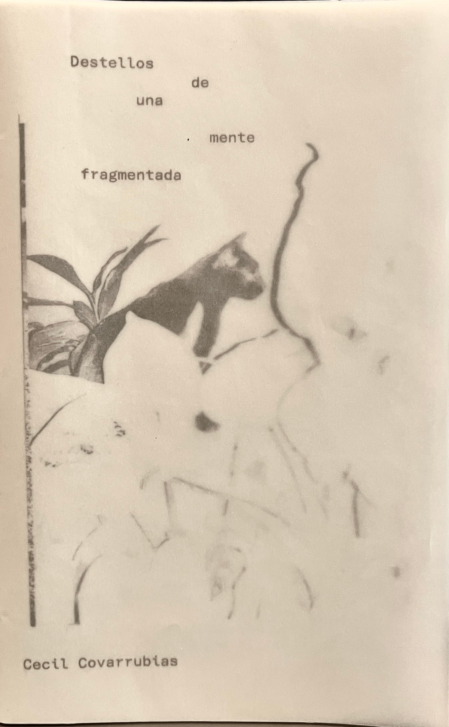 Destellos de una mente fragmentada