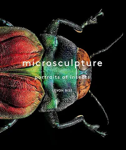 Microsculpture: Portraits of Insects