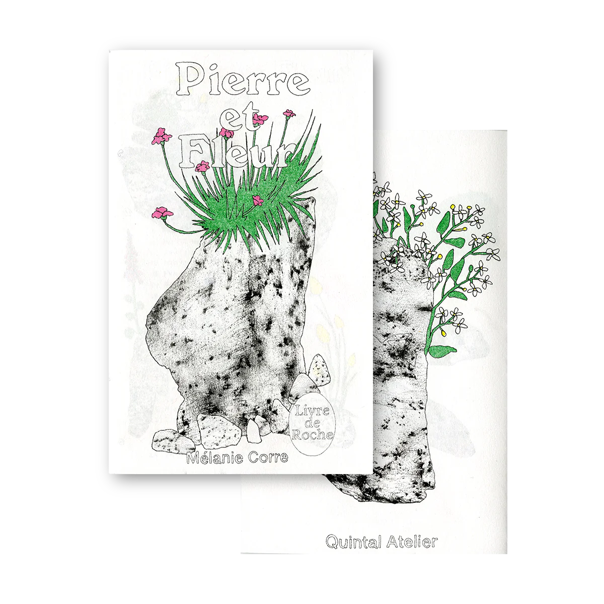 PIERRE ET FLEUR Mélanie Corre