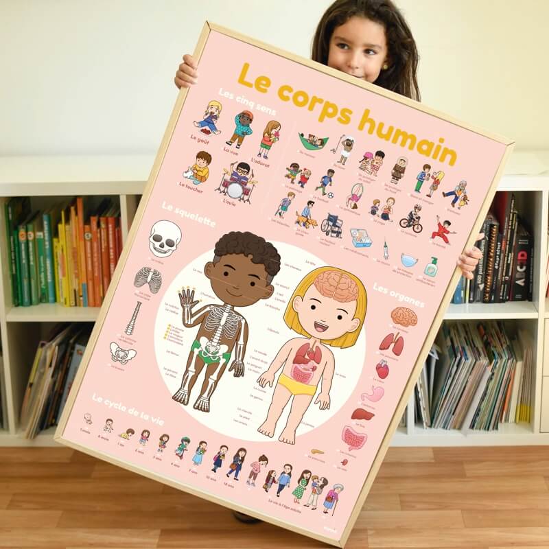 Poppik Discovery Human Body