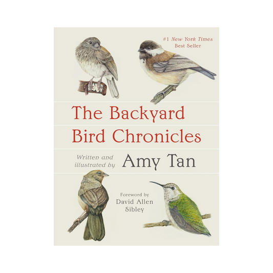The Backyard Bird Chronicles