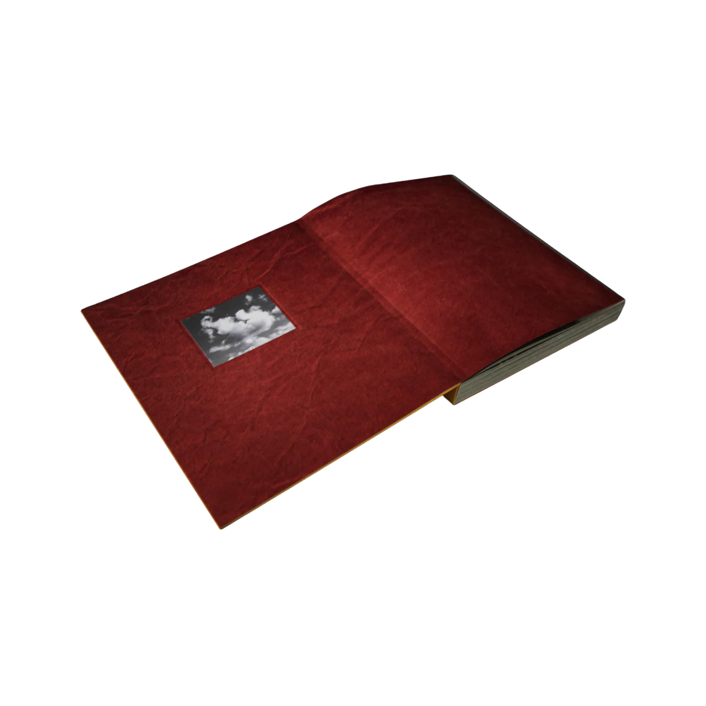 Looking for Her— Veronique Chapuy