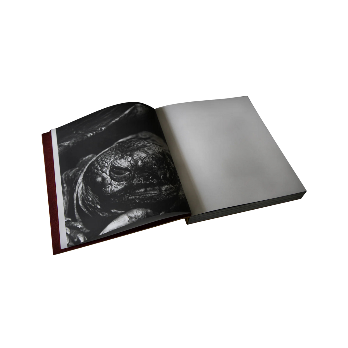 Looking for Her— Veronique Chapuy