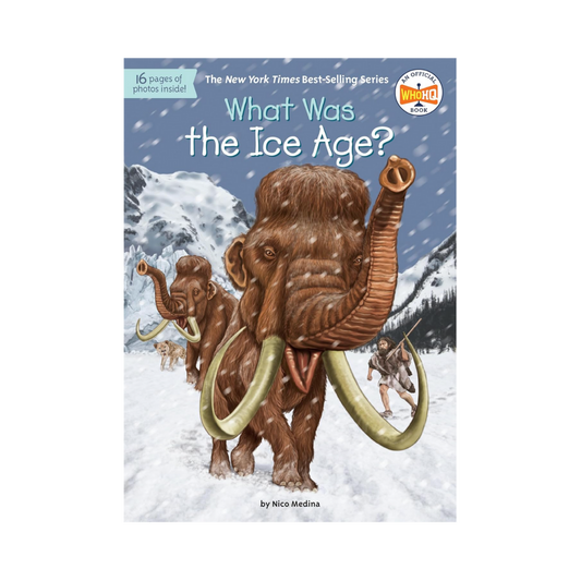 What Was the Ice Age?