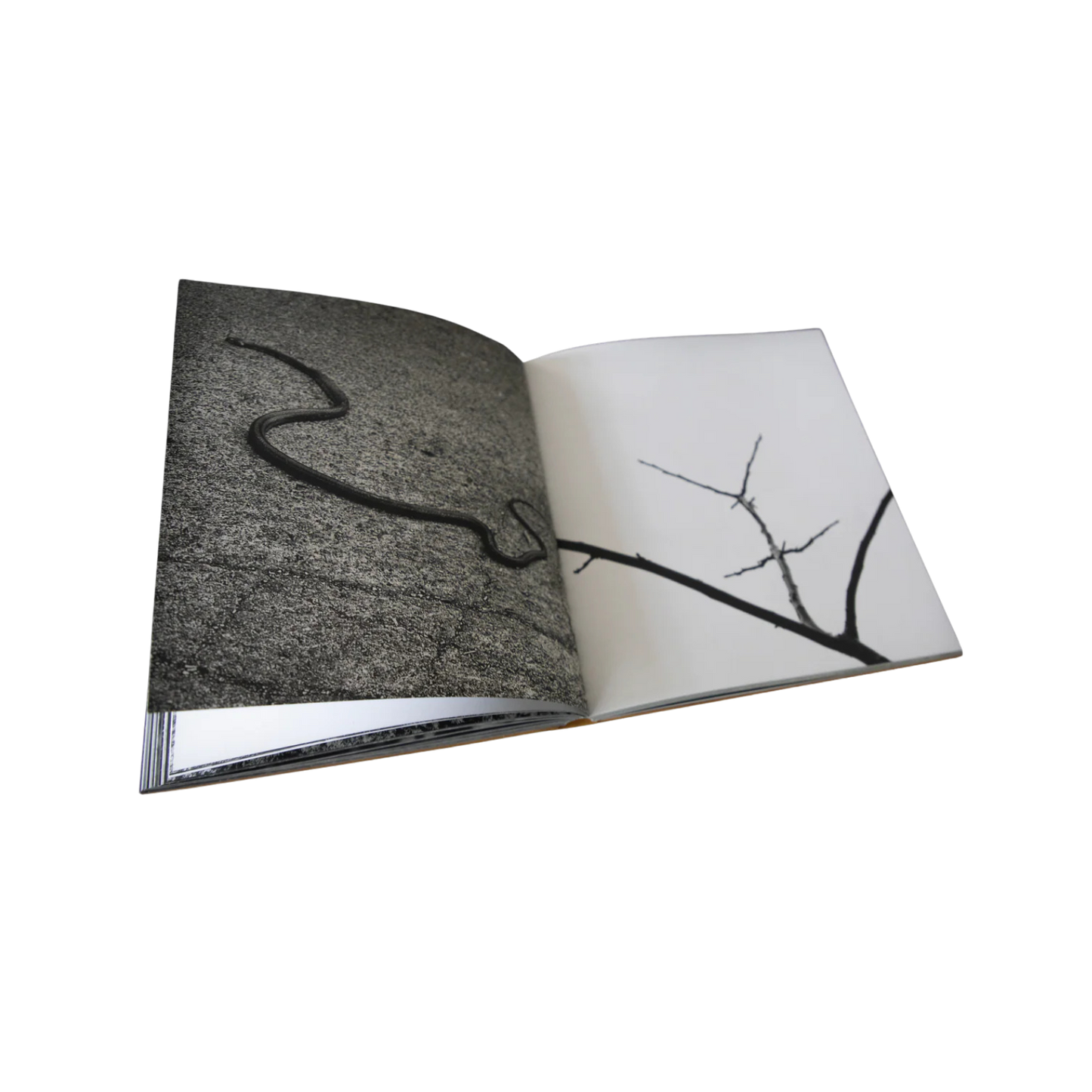 Looking for Her— Veronique Chapuy