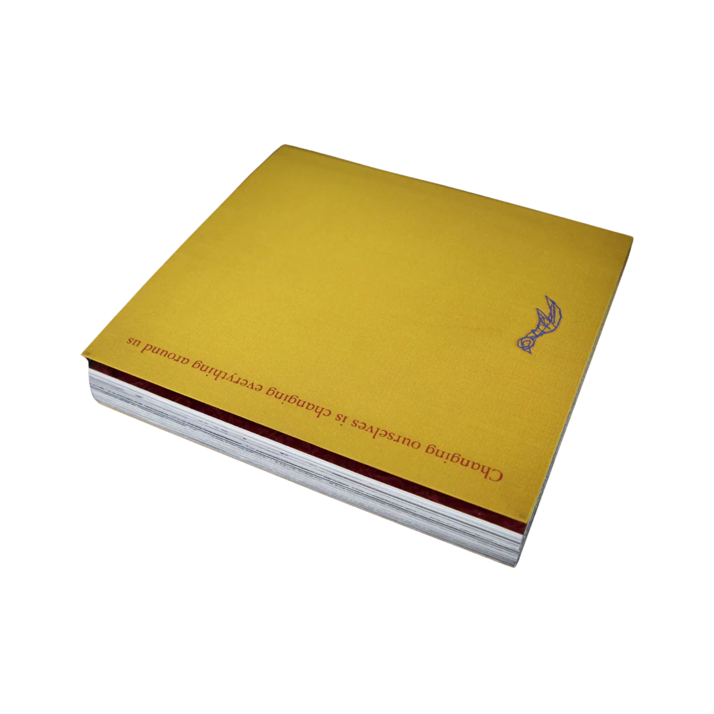 Looking for Her— Veronique Chapuy