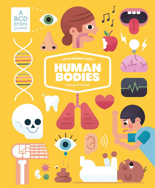 Little Known Facts: The Human Body