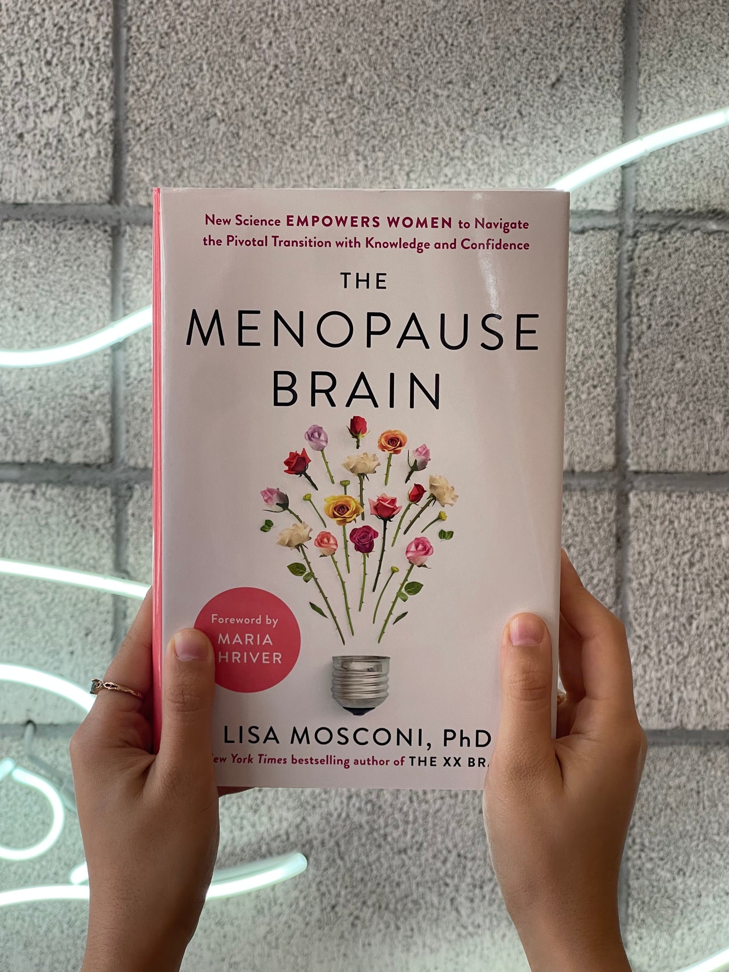 The Menopause Brain