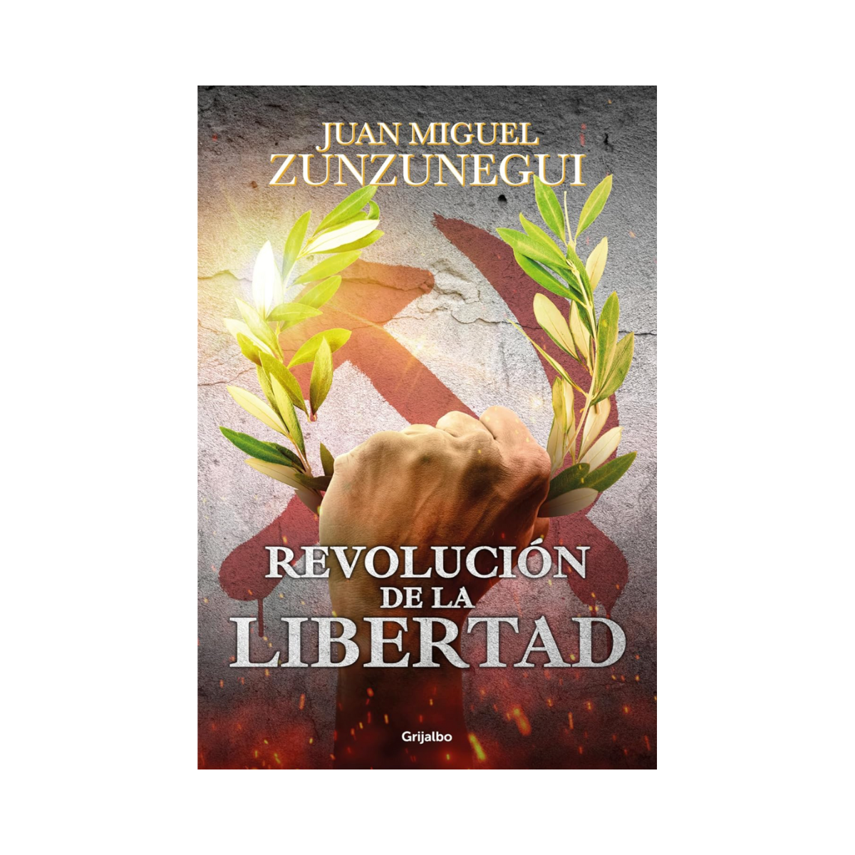 Revolución de la Libertad— Juan Miguel Zunzunegui