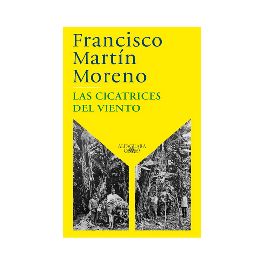 Las cicatrices del viento— Francisco Martín Moreno