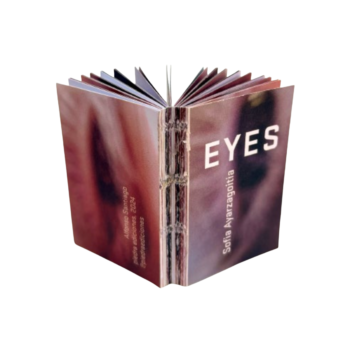 Eyes— Sofia Ayarzagoitia