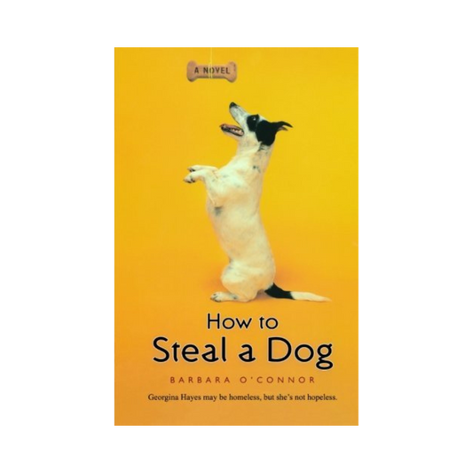 How to Steal a Dog— Barbara O'Connor
