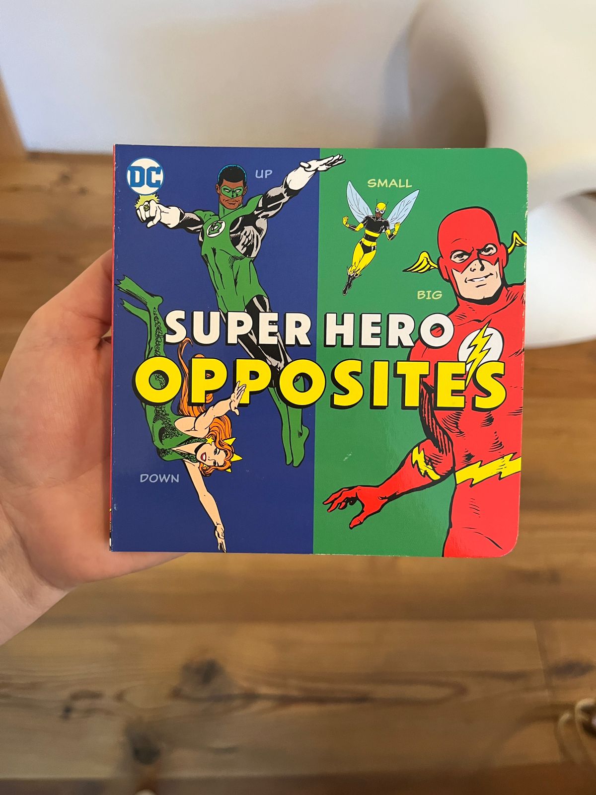 DC Super Heroes Little Library