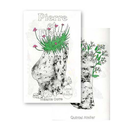 PIERRE ET FLEUR Mélanie Corre