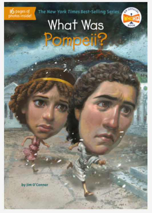 What Was Pompeii? by Jim O'Connor