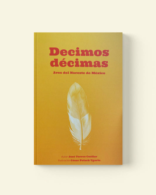 Decimos décimas Aves del Noreste de México